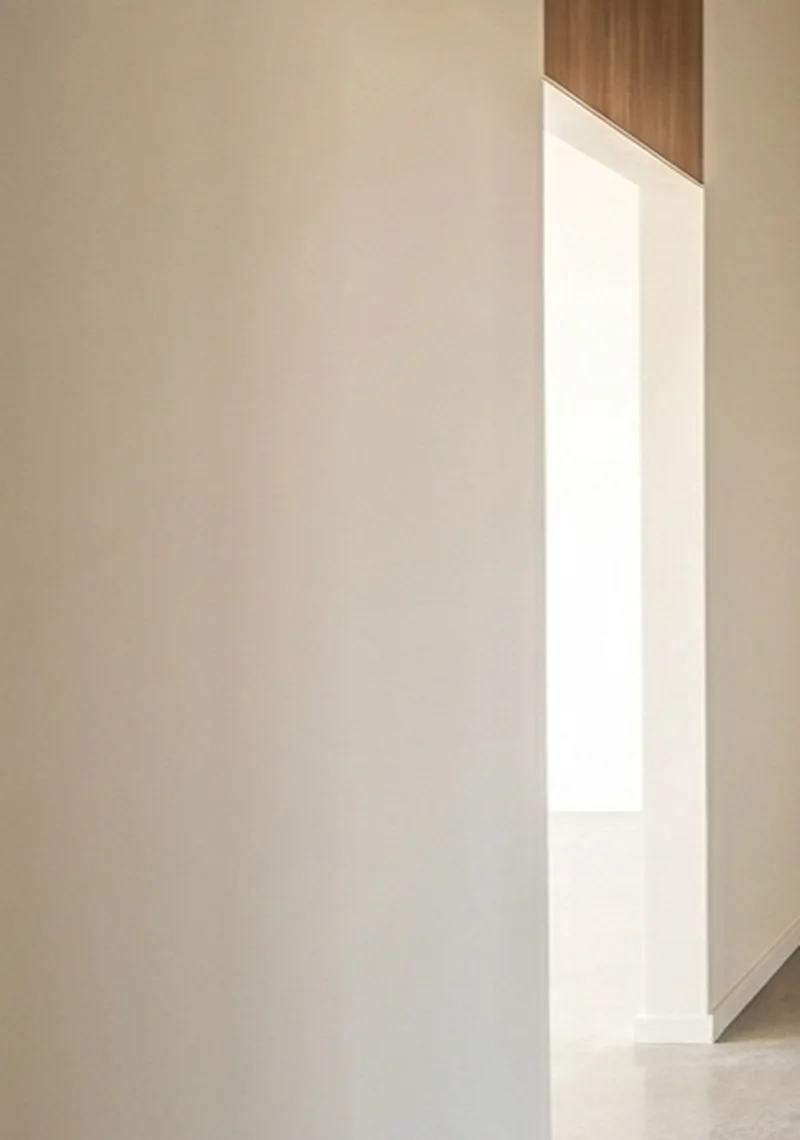 A finished plaster wall under soft raking light